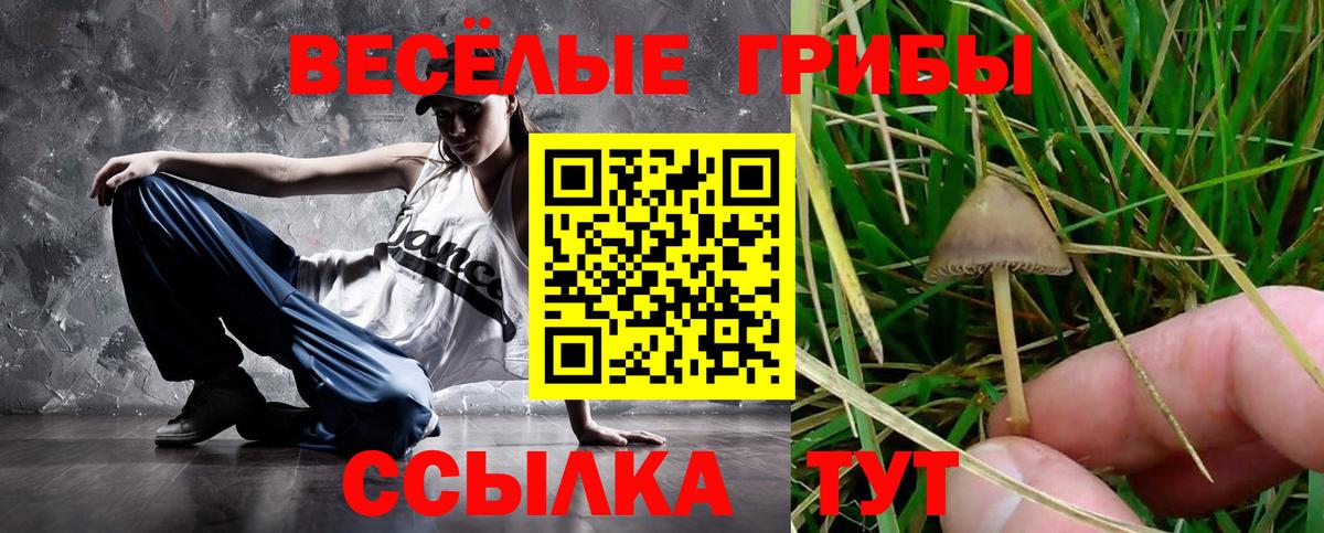 Кстово  Псилоцибиновые грибы прущие грибы  Вход с VPN 
